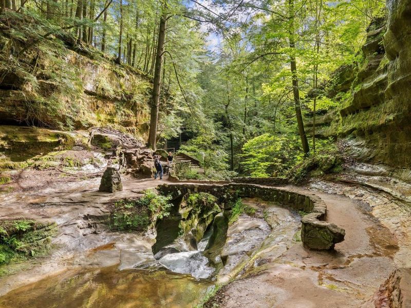 26975 Chapel Ridge Road, South Bloomingville, OH 43152 Photo 25