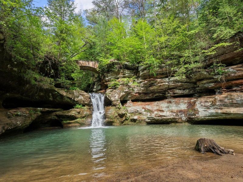 26975 Chapel Ridge Road, South Bloomingville, OH 43152 Photo 73