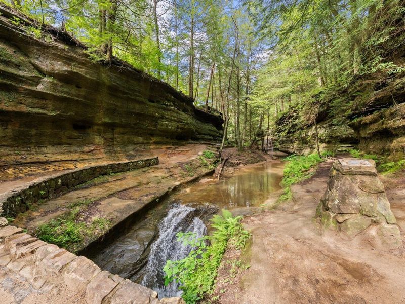 26975 Chapel Ridge Road, South Bloomingville, OH 43152 Photo 76