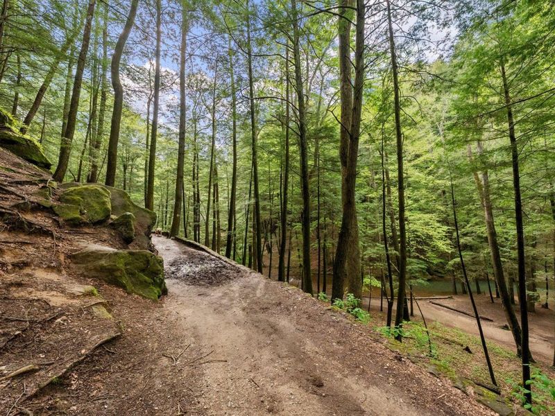 26975 Chapel Ridge Road, South Bloomingville, OH 43152 Photo 78