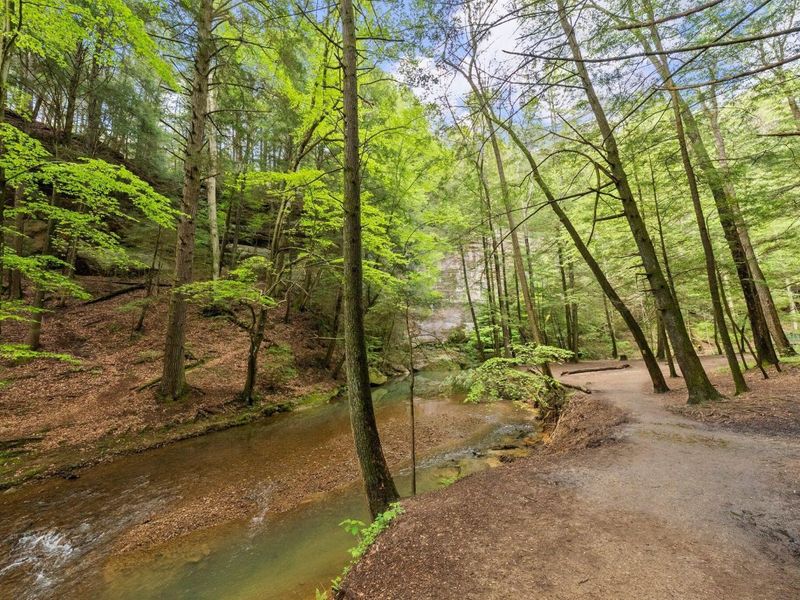 26975 Chapel Ridge Road, South Bloomingville, OH 43152 Photo 79