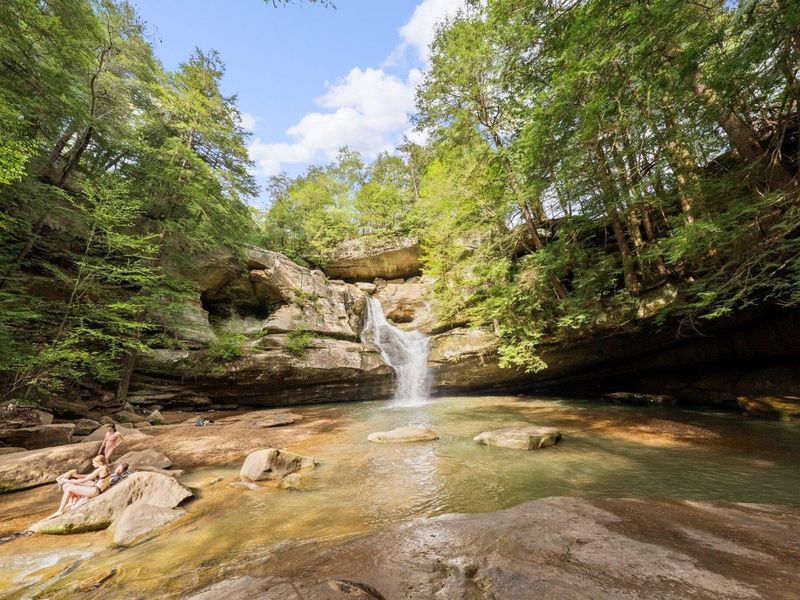 26975 Chapel Ridge Road, South Bloomingville, OH 43152 Photo 81