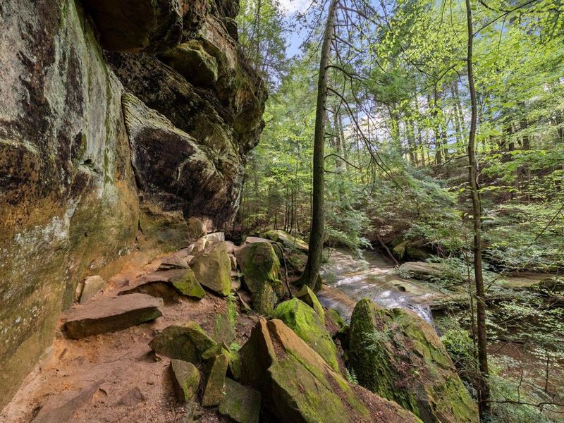 26975 Chapel Ridge Road, South Bloomingville, OH 43152 Photo 82