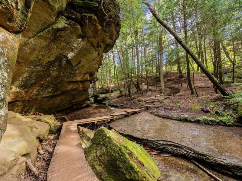 26975 Chapel Ridge Road, South Bloomingville, OH 43152 Photo 83