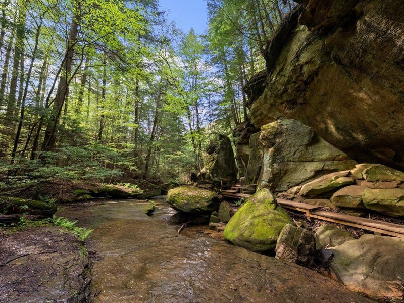 26975 Chapel Ridge Road, South Bloomingville, OH 43152 Photo 84