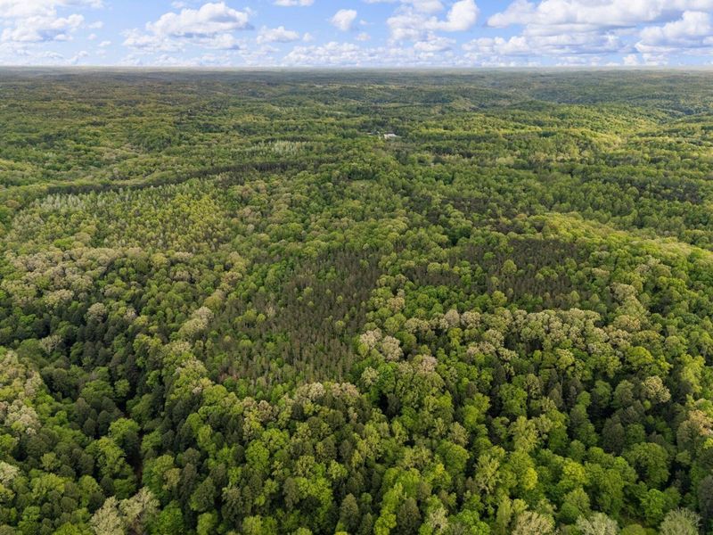 26975 Chapel Ridge Road, South Bloomingville, OH 43152 Photo 89