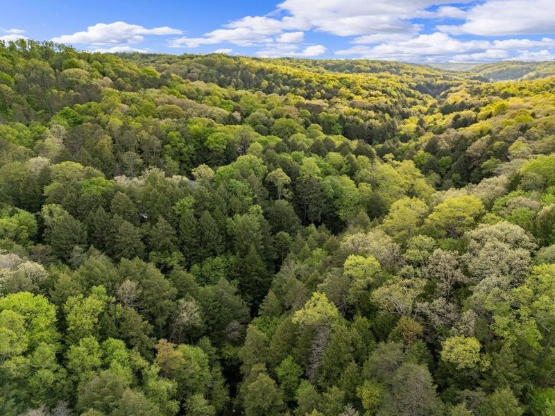 26975 Chapel Ridge Road, South Bloomingville, OH 43152 Photo 96