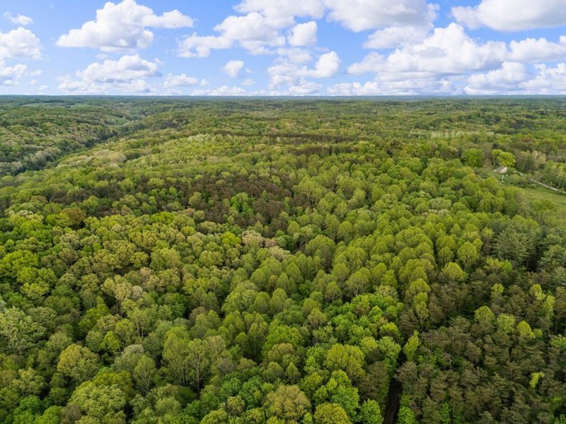 26975 Chapel Ridge Road, South Bloomingville, OH 43152 Photo 97