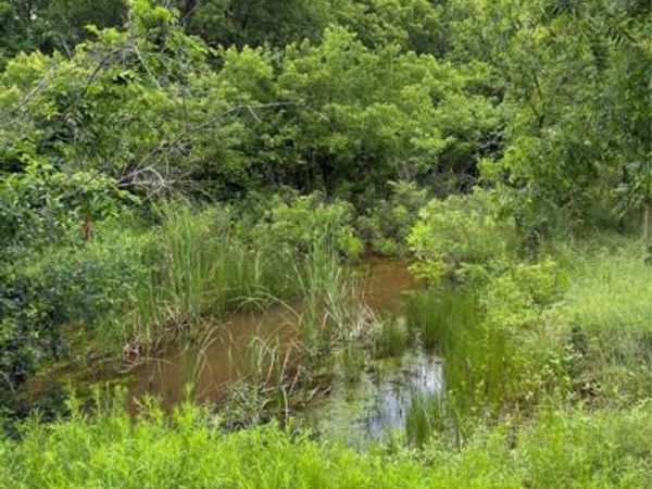 7701 N Brush Creek Road, Glencoe, OK 74032