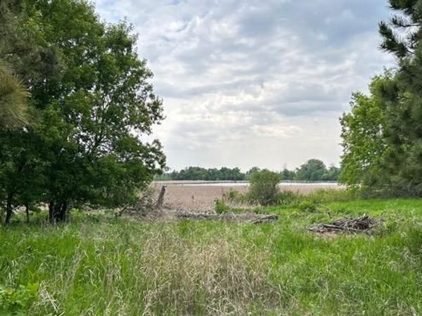 TBD Highway 28/29, Glenwood, MN 56334