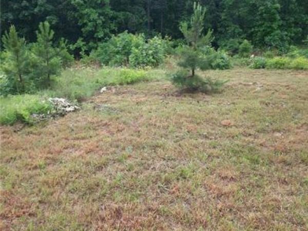 652 Highway Ww, Salem, MO 65560