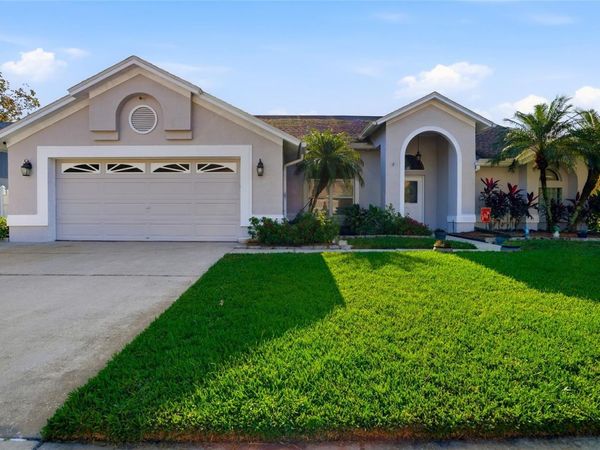 28390 OPENFIELD LOOP, WESLEY CHAPEL, FL 33543