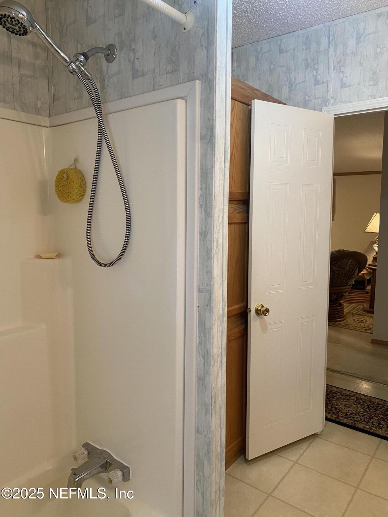 138 Pine Cone Drive, Georgetown, FL 32139 Photo