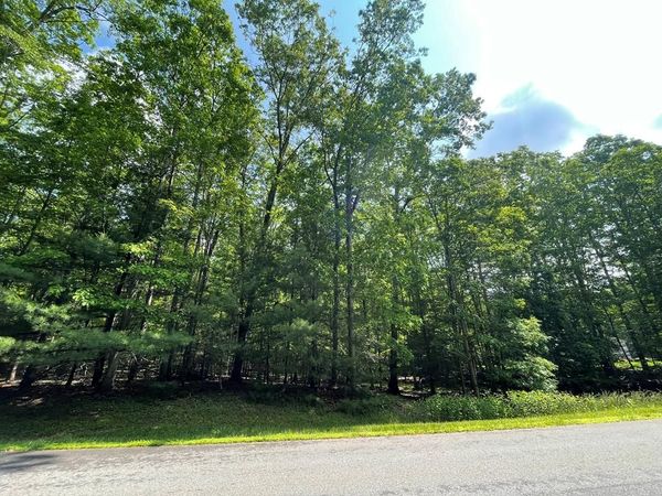 Saddlebrooke Ln, DANIELS, WV 25832