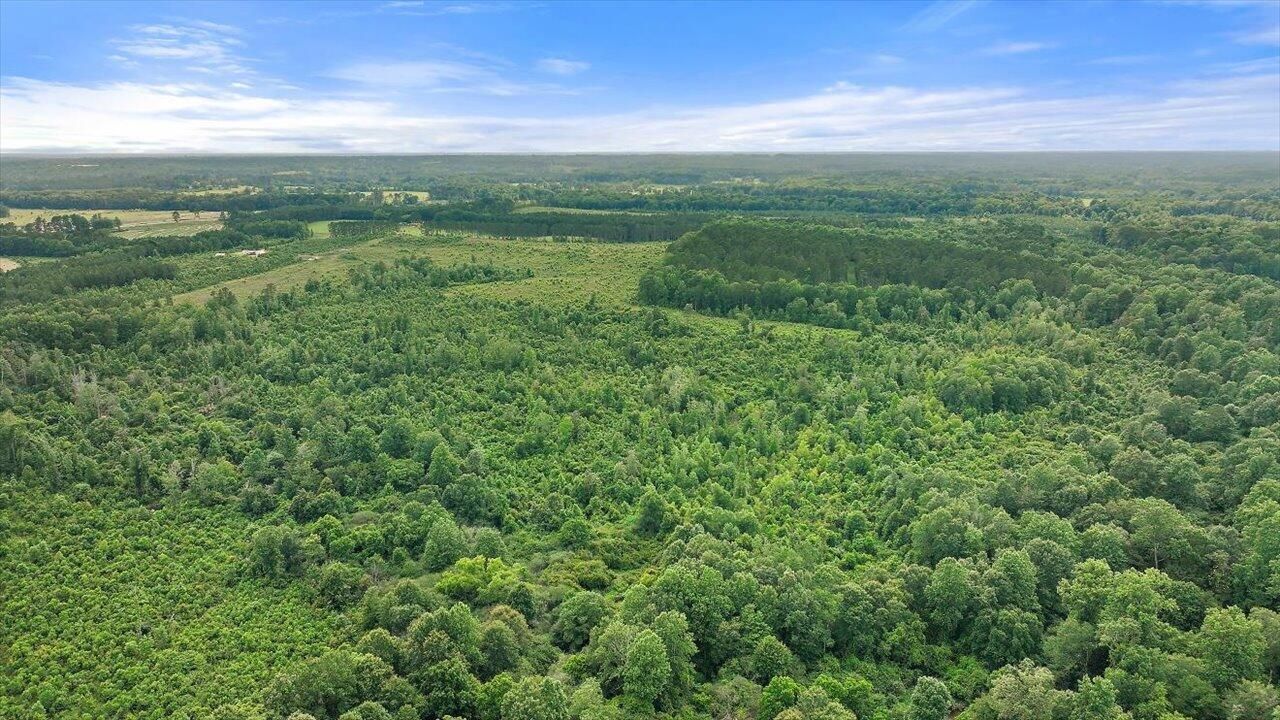 0 Scr 73-a, Mize, MS 39116 Main Photo