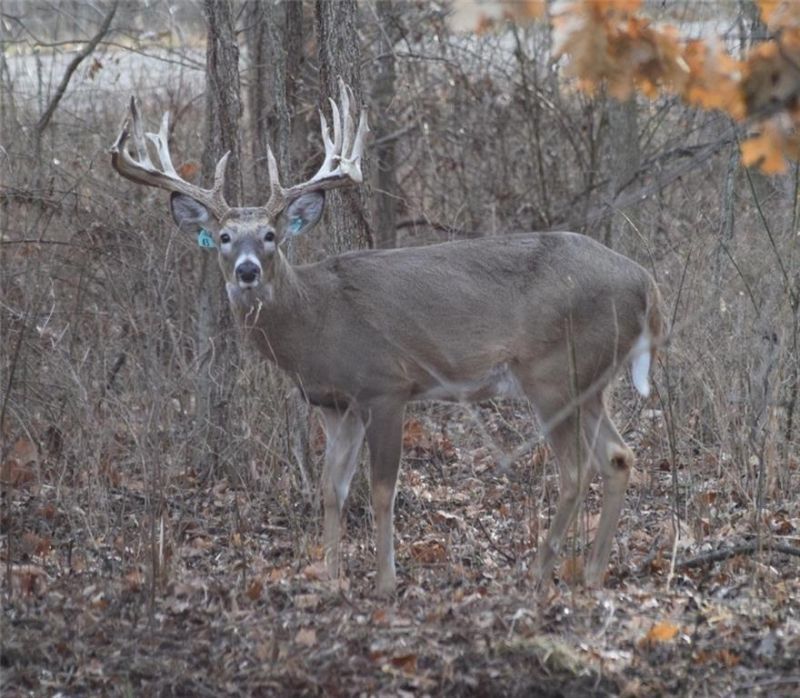 882 260th Street Fort Scott, KS 66701