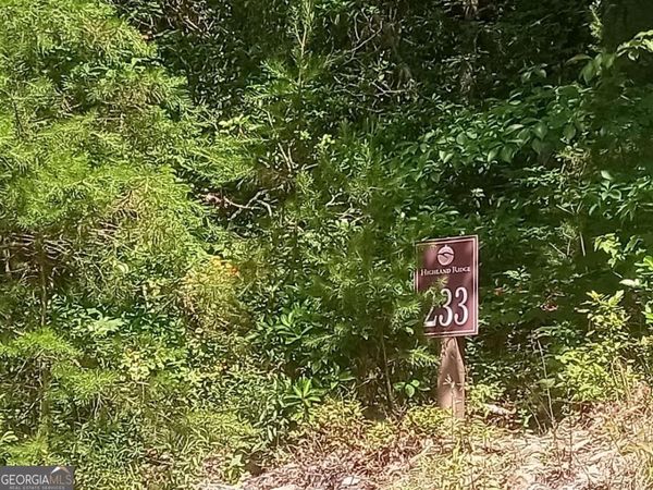 LT 233 Stone Cliff Drive, Unit 233, Ellijay, GA 30536