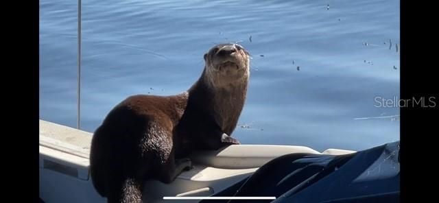 7145 Lake Drive, Orlando, FL 32809 Photo