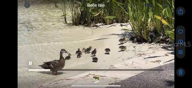 7145 Lake Drive, Orlando, FL 32809 Photo