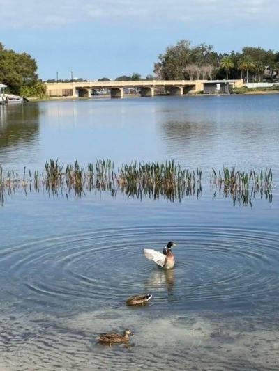 7145 Lake Drive, Orlando, FL 32809 Photo