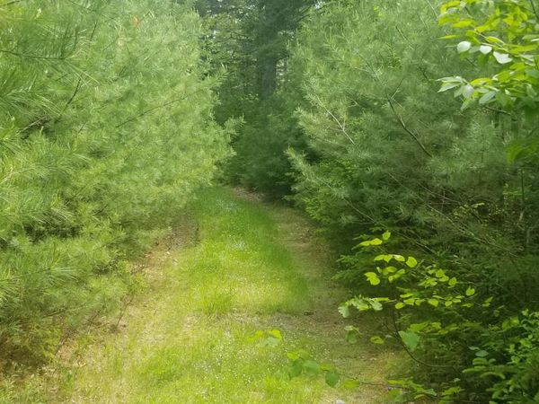 M13, L36, Harland Cunningham Road, Penobscot, ME 04476