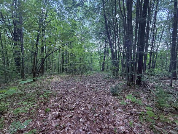 251 Phillips Hill Road, Halifax, VT 05358