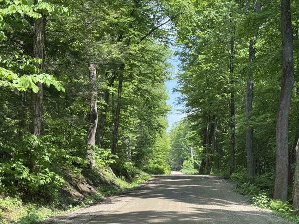 251 Phillips Hill Road, Halifax, VT 05358