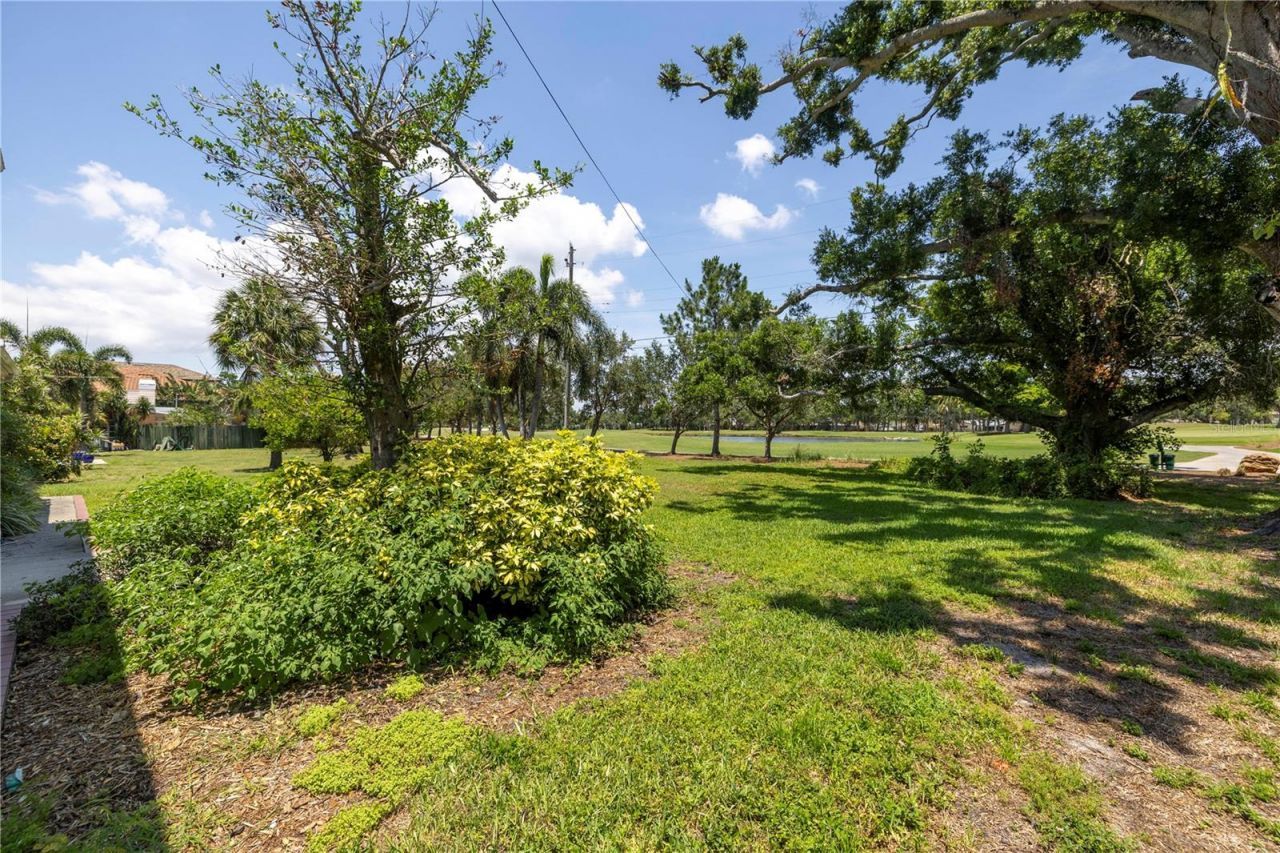 167 Almedo Way Ne, Saint Petersburg, FL 33704 Photo