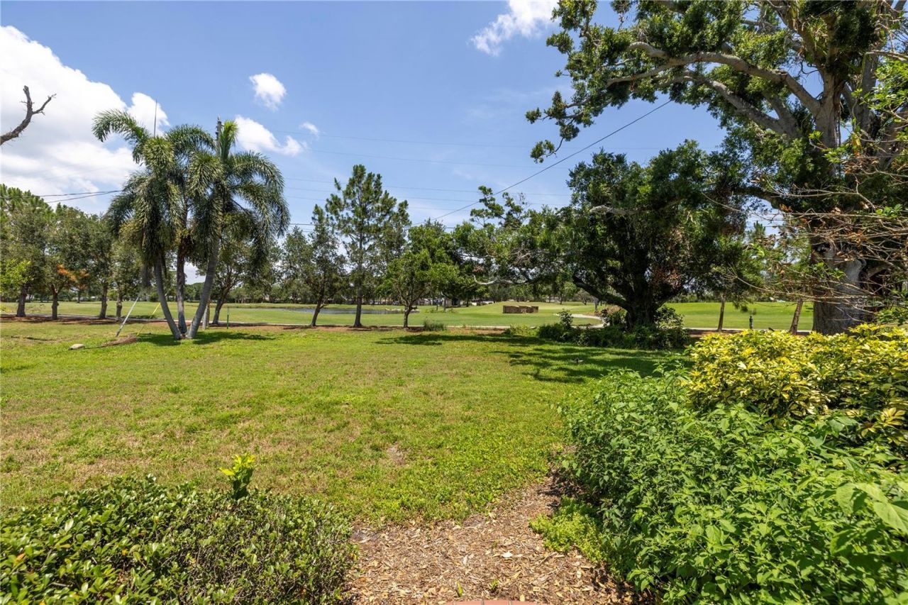 167 Almedo Way Ne, Saint Petersburg, FL 33704 Photo