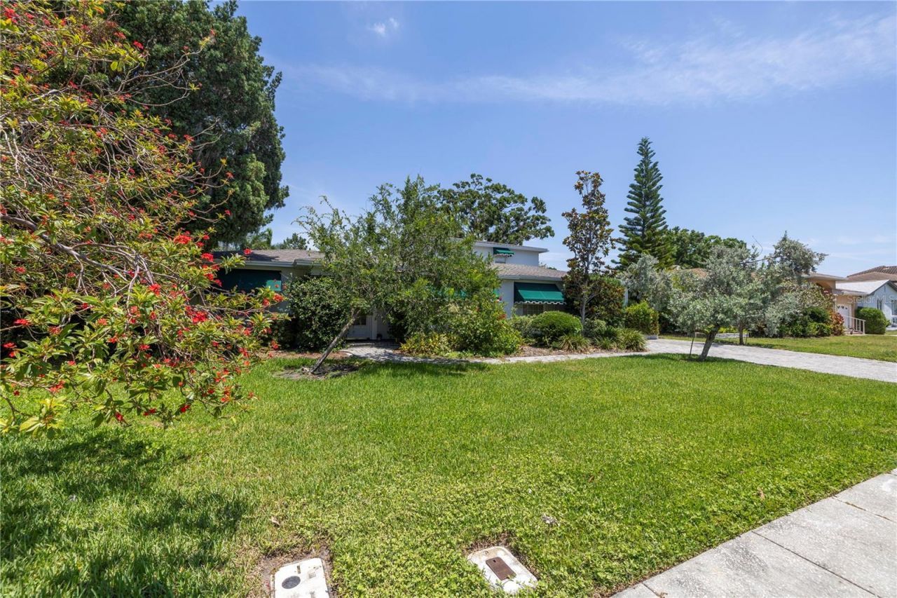 167 Almedo Way Ne, Saint Petersburg, FL 33704 Photo