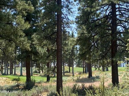 245 Redding Way, Lot #226, Carson City, NV 89705 Photo