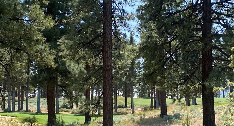 245 Redding Way, Lot #226, Carson City, NV 89705 Photo