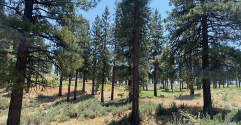 245 Redding Way, Lot #226, Carson City, NV 89705 Photo