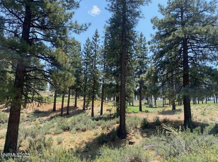 245 Redding Way, Lot #226, Carson City, NV 89705 Photo
