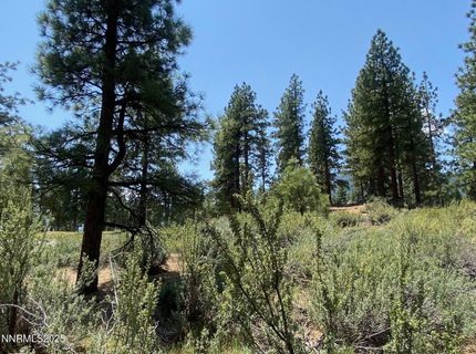 245 Redding Way, Lot #226, Carson City, NV 89705 Photo