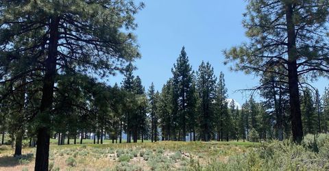 245 Redding Way, Lot #226, Carson City, NV 89705 Photo