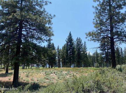 245 Redding Way, Lot #226, Carson City, NV 89705 Photo