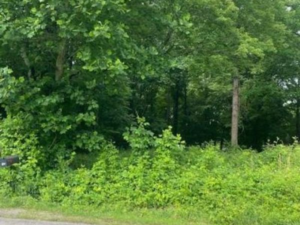 0000 Mountain View Road , North Wilkesboro, NC 28659