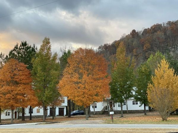 1040/1056 S Riverview, Mountain View, AR 72560