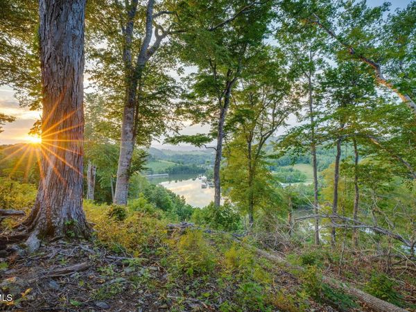 Lot 24 Cowan Town Road, Butler, TN 37640