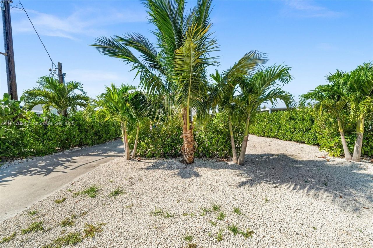 648 E Palm Dr, Marco Island, FL 34140 Photo