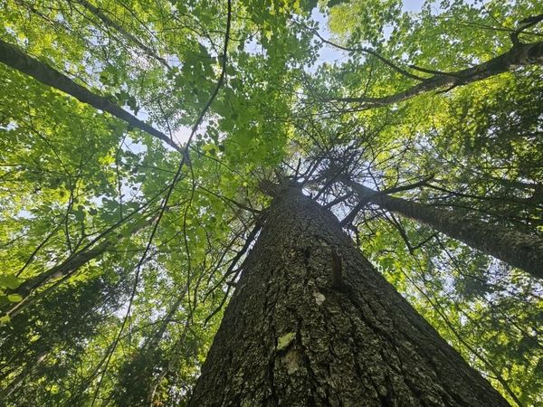 2016 2016 Hudson Road, Hudson, ME 04449