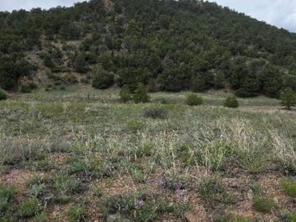 8099 County Rd 28, Cotopaxi, CO 81223