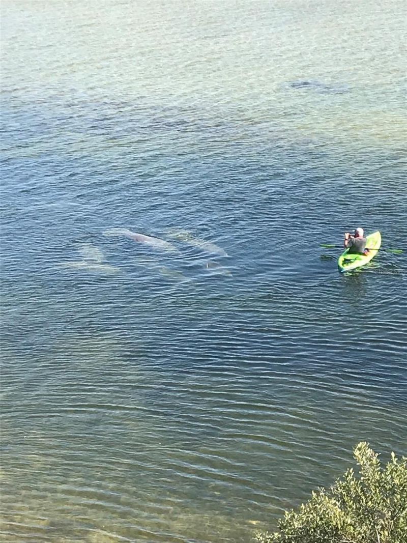 3236 Gulf Winds Circle, Hernando Beach, FL 34607 Photo