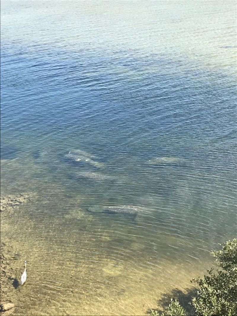 3236 Gulf Winds Circle, Hernando Beach, FL 34607 Photo