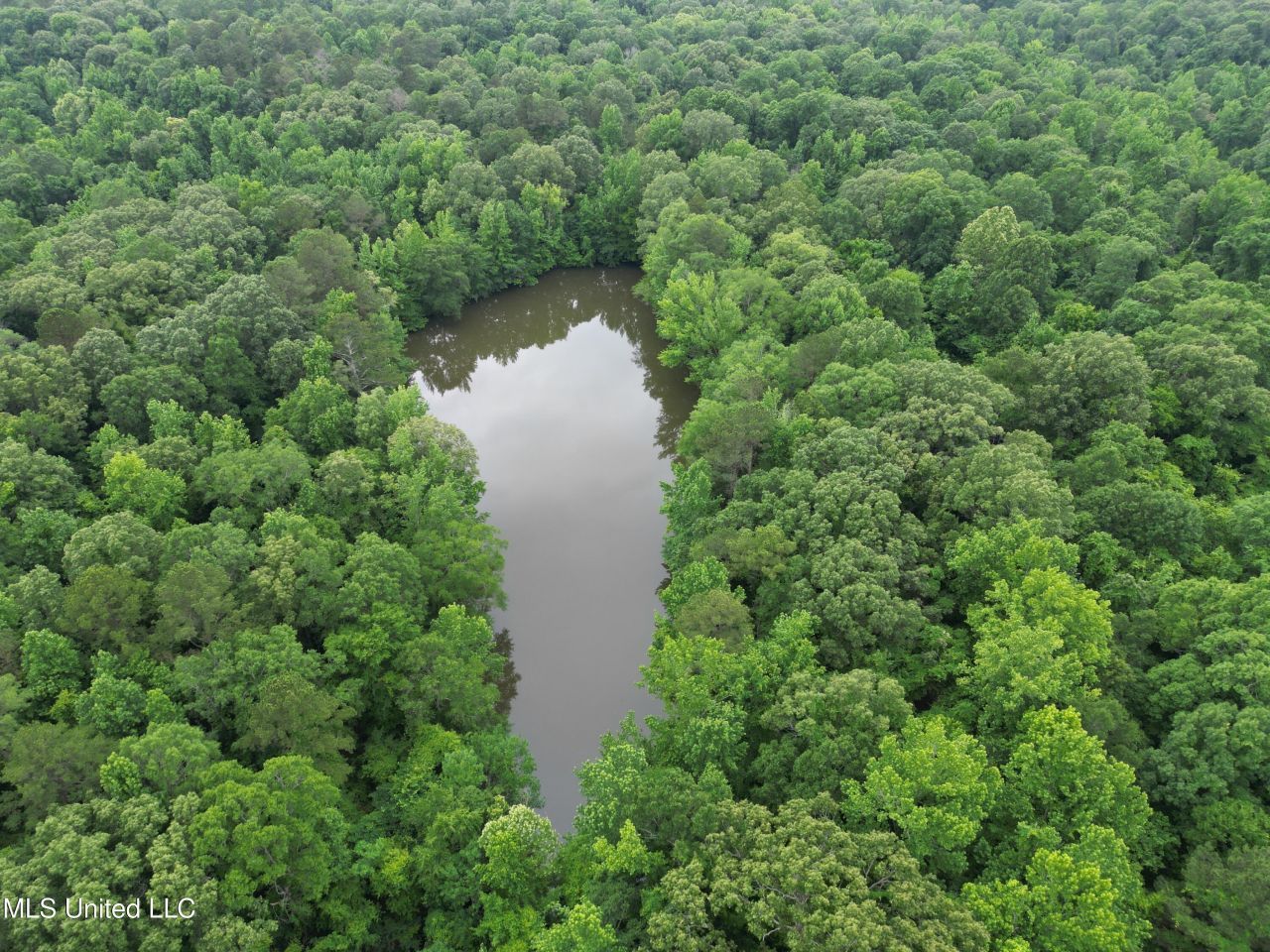 Gessler Rd, Benton, MS 39039 Main Photo