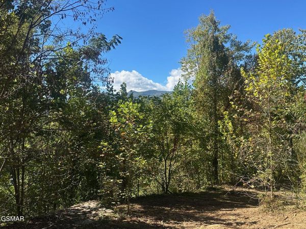 361 Oakwood Drive, Sevierville, TN 37876