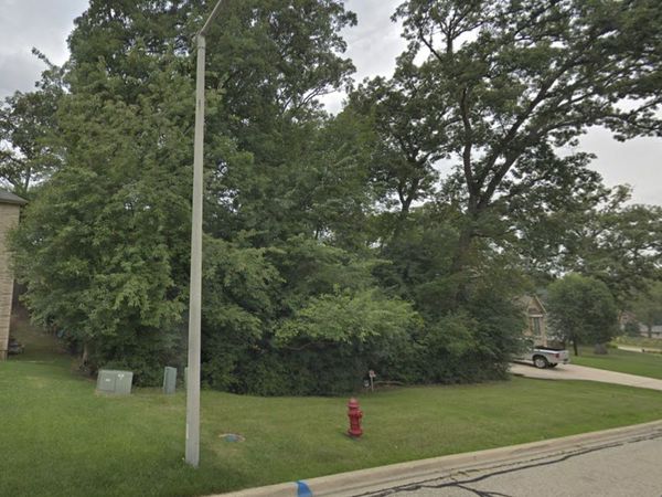 1033 rosewood Drive, Carpentersville, IL 60110