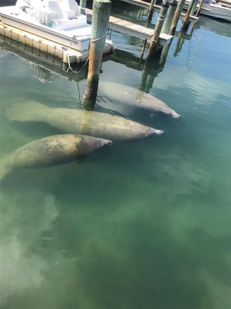 767 John Ringling Boulevard, Unit 25, Sarasota, FL 34236 Photo