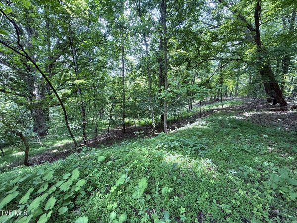5.74 Acres Bailey Cemetery Road, Tazewell, TN 37879